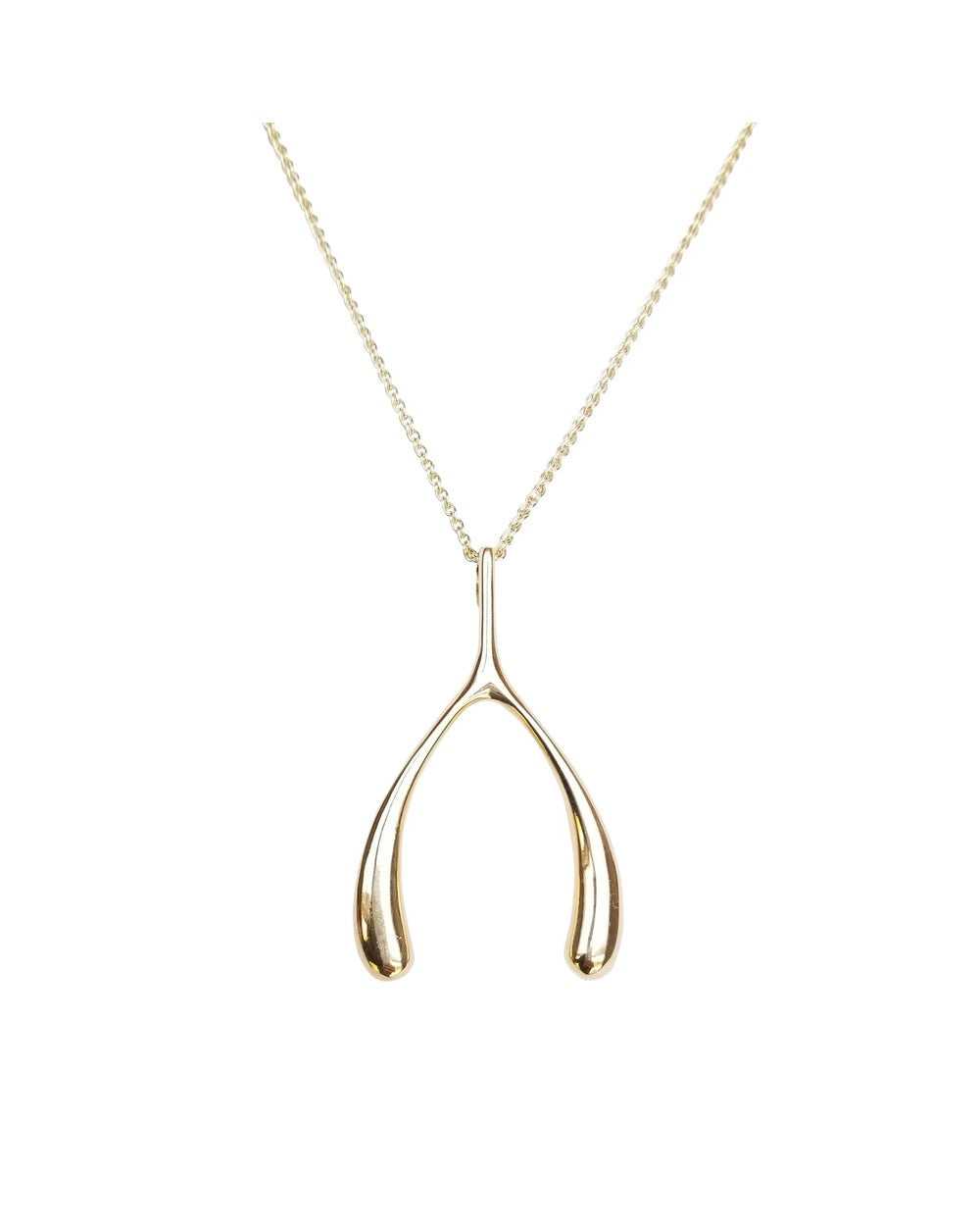 Lucky Wishbone Necklace
