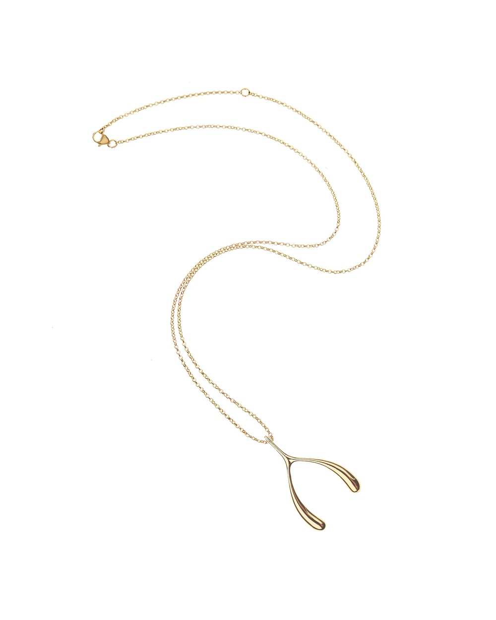 Lucky Wishbone Necklace