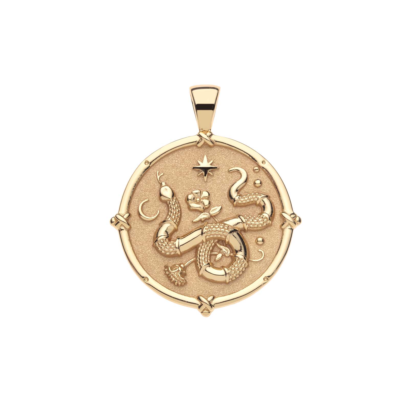 PROTECT Year of the Snake Pendant Coin