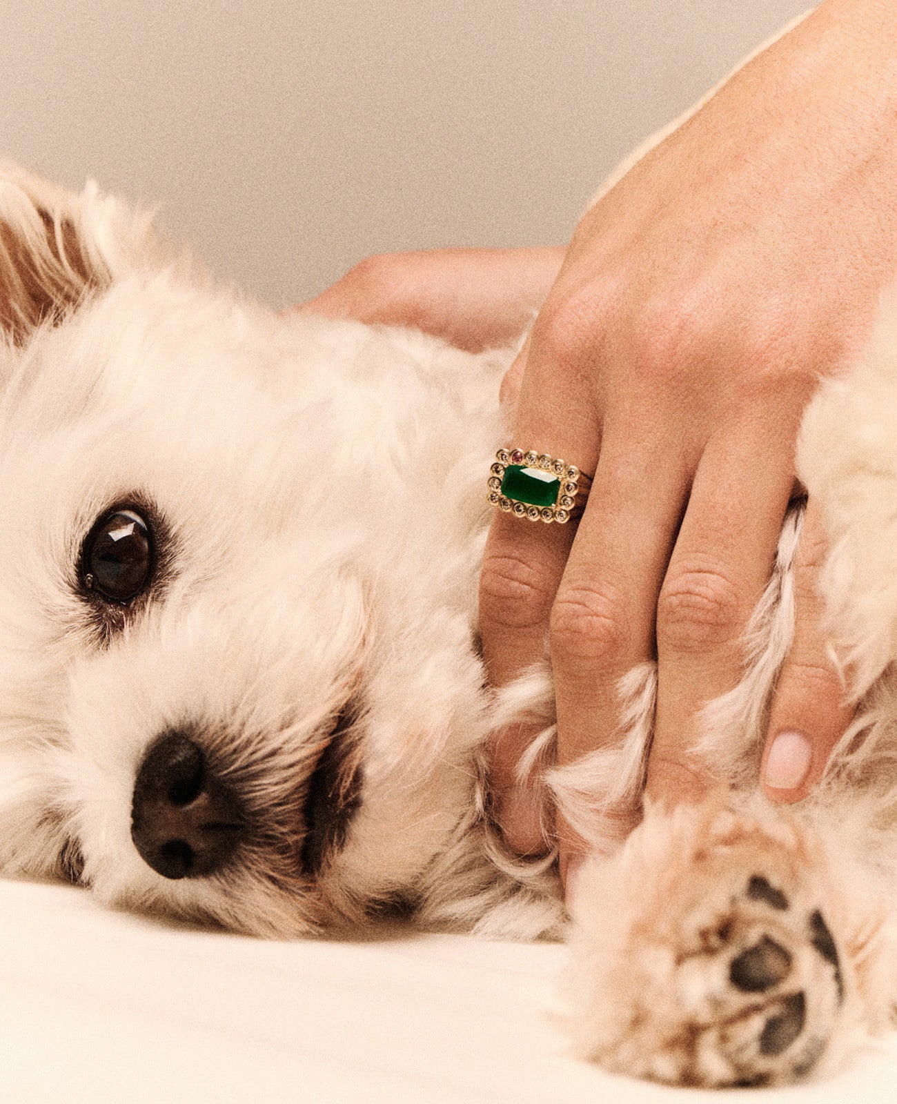 Ring ROBIN N°2 GREEN CHALCEDONY