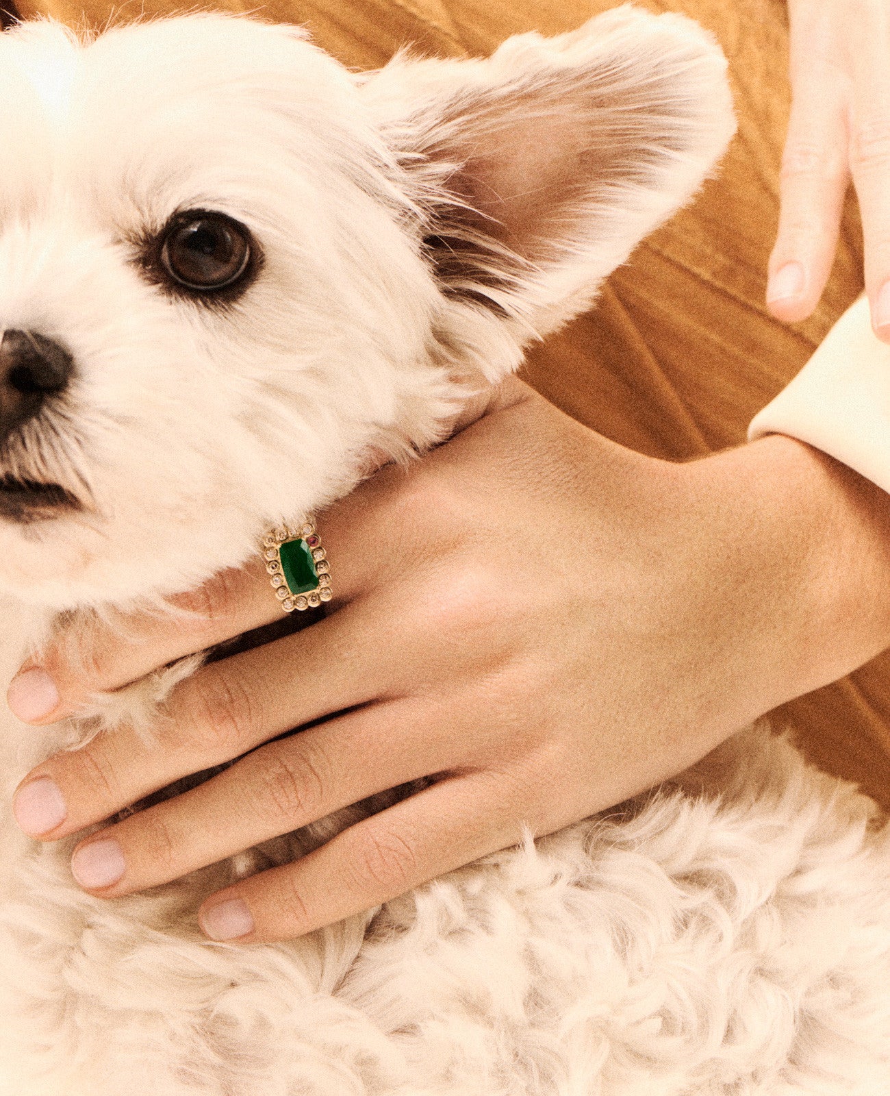 Ring ROBIN N°2 GREEN CHALCEDONY