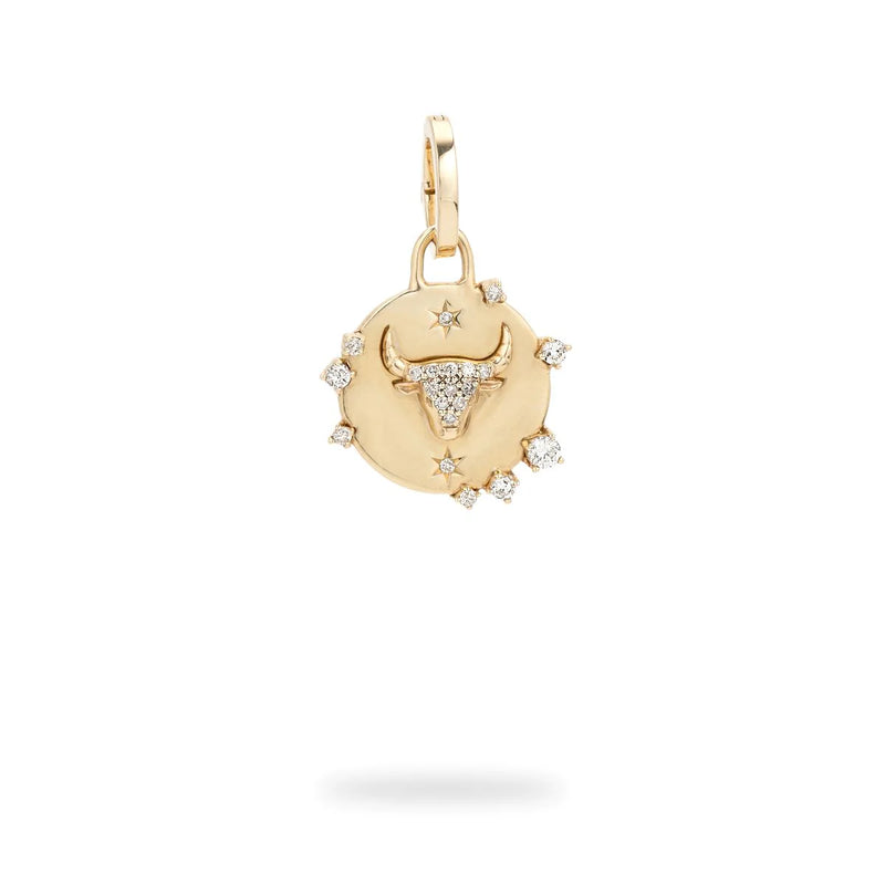 Zodiac Diamond Hinged Charm