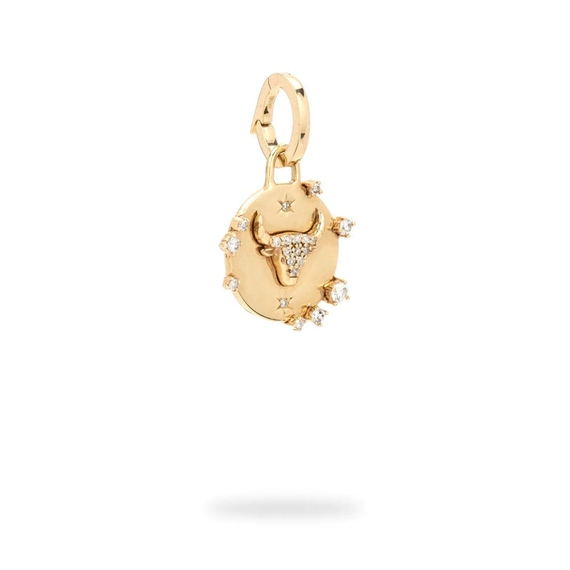 Zodiac Diamond Hinged Charm